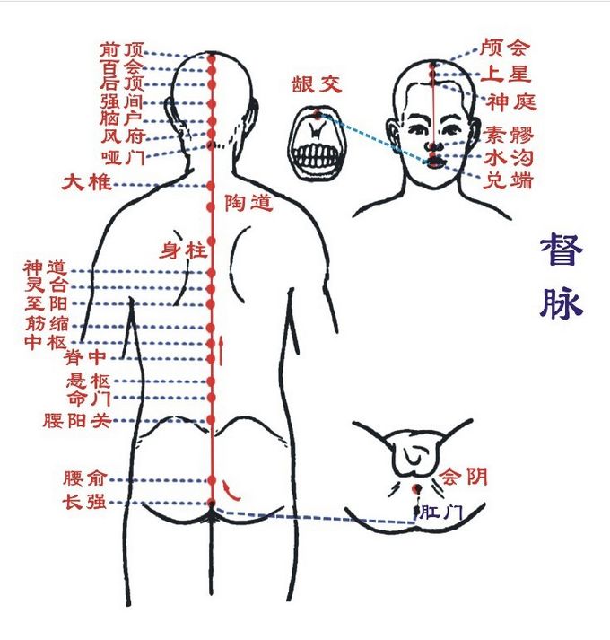 奇经八脉; 任督二脉; > 督脉